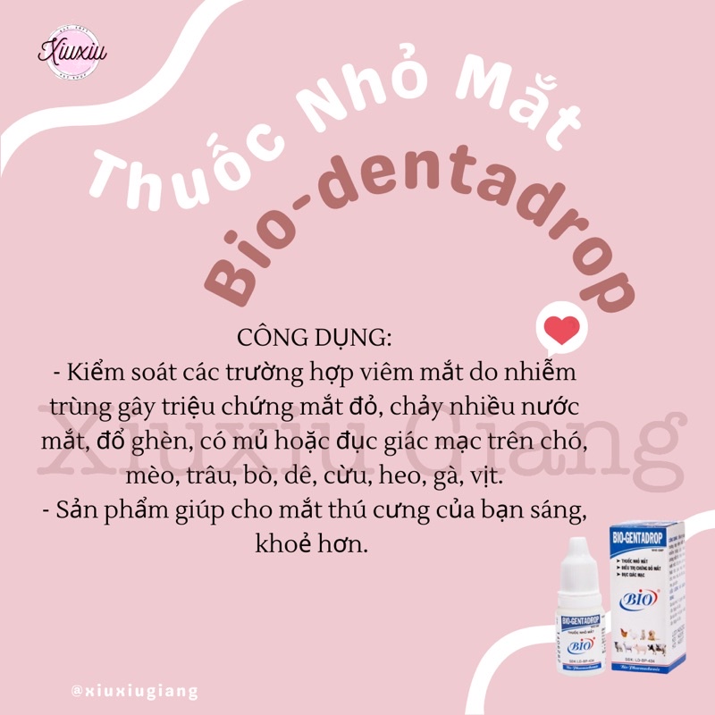 Nhỏ Mắt Bio-Gentadrop - Xiuxiu Giang