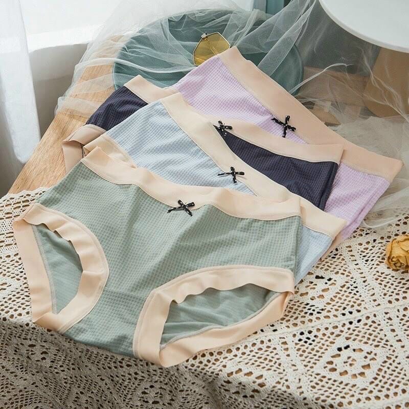 5 Quần lót cotton viền lụa siêu ôm,siêu mát 2231