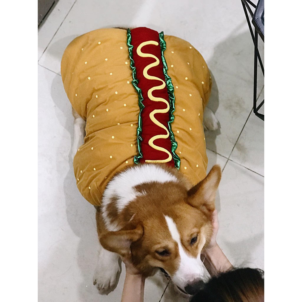 Áo Hotdog Big size - Áo Cho Chó To Mùa Đông Giữ Ấm - Áo Cho Chó Lớn