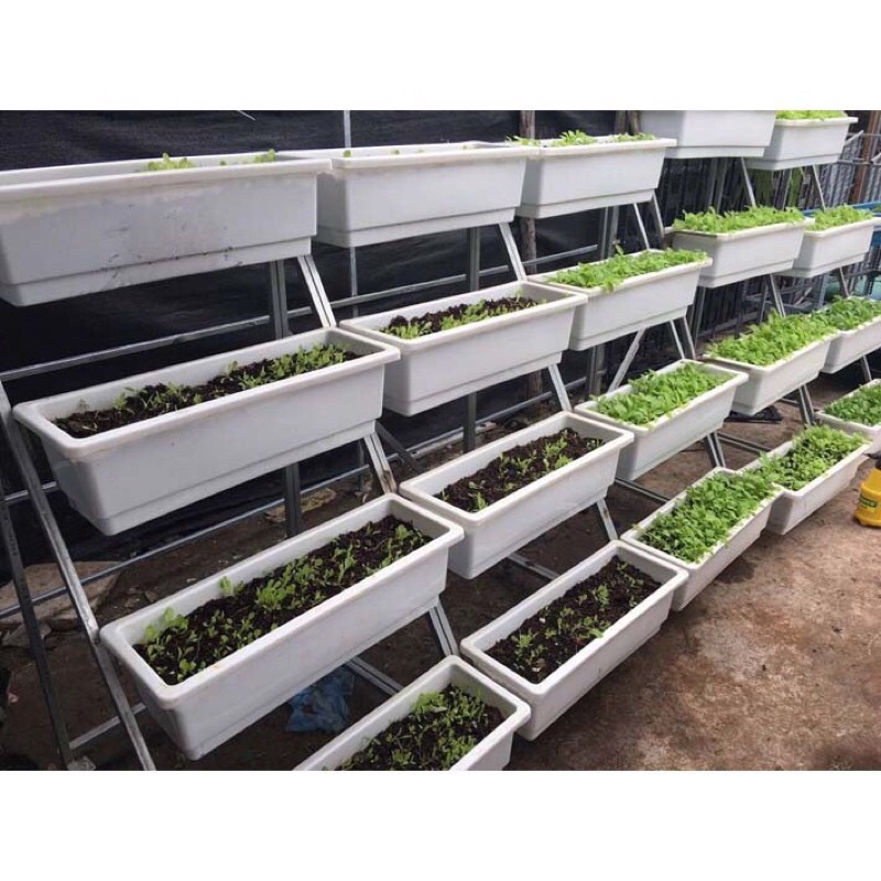 combo 10 chậu nhựa dài thông minh size 67x24x20cm, hàng đẹp và có sẵn