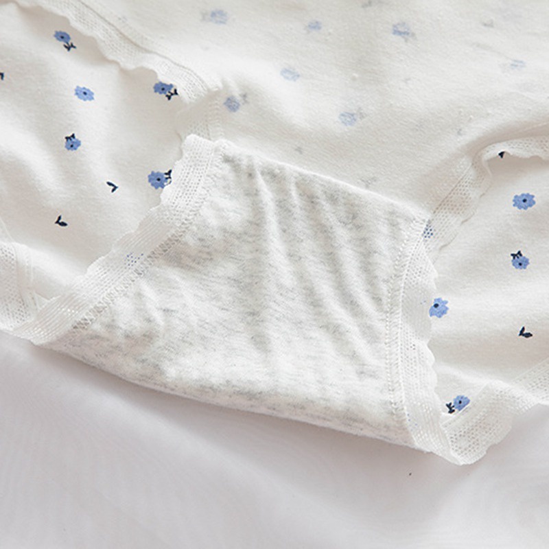 Quần lót cotton viền ren in họa tiết nhiều mẫu tùy chọn phong cách Hàn Quốc thời trang đáng yêu dành cho nữ