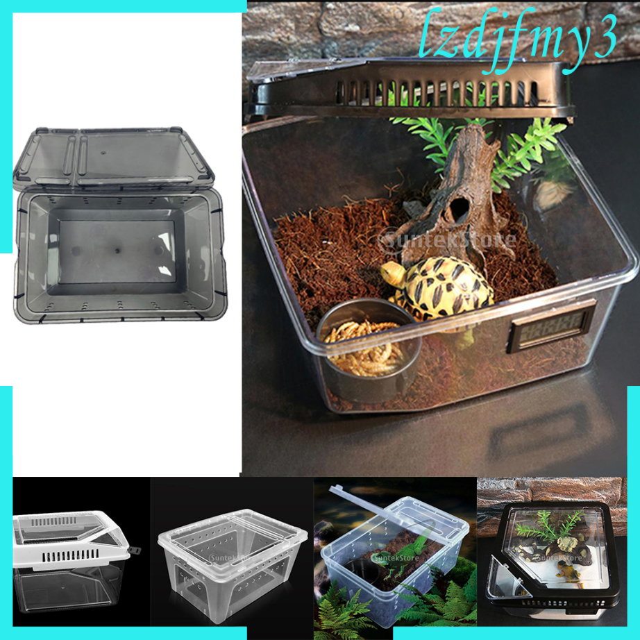 Bò Sát Terrarium Vivarium Xe Tăng Hộp Rùa Mầm Non Nuôi Lồng Đen