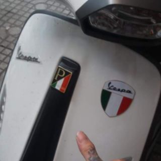 LOGO PIAGGIO