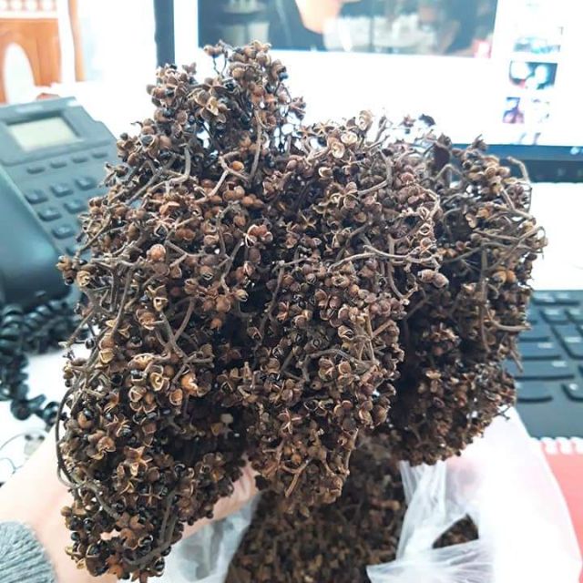 Combo mắc khén hạt dổi