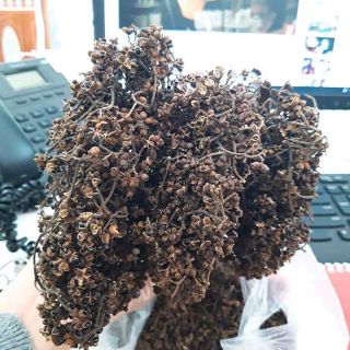 Combo mắc khén hạt dổi
