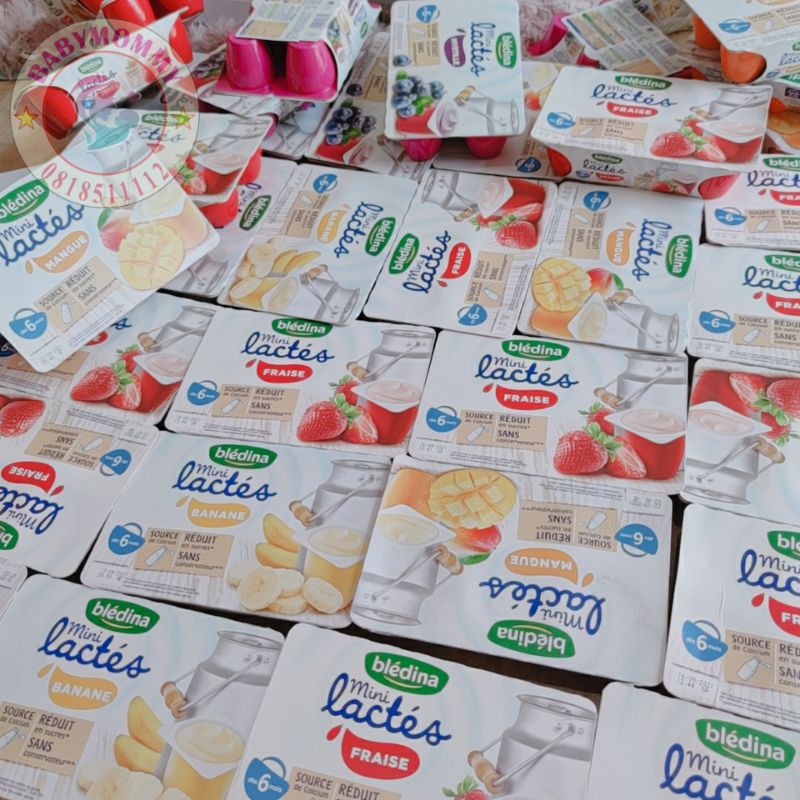 Sữa Chua nguội Bledina Pháp Cho bé từ 6 tháng tuổi