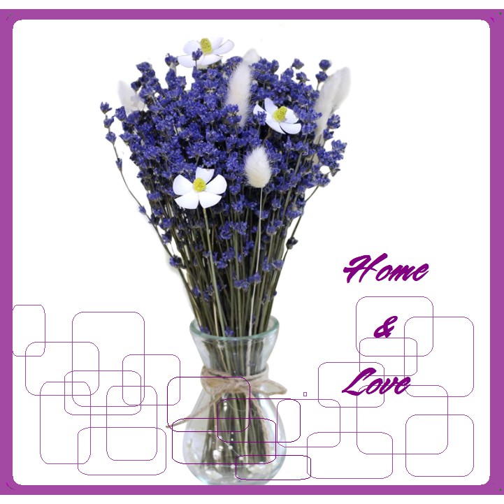 🍁 TRUE LAVENDER 🍁 LAVENDER/OẢI HƯƠNG ❤️ Hoa khô Decor, quà tặng, trang trí nhà cửa ❤️