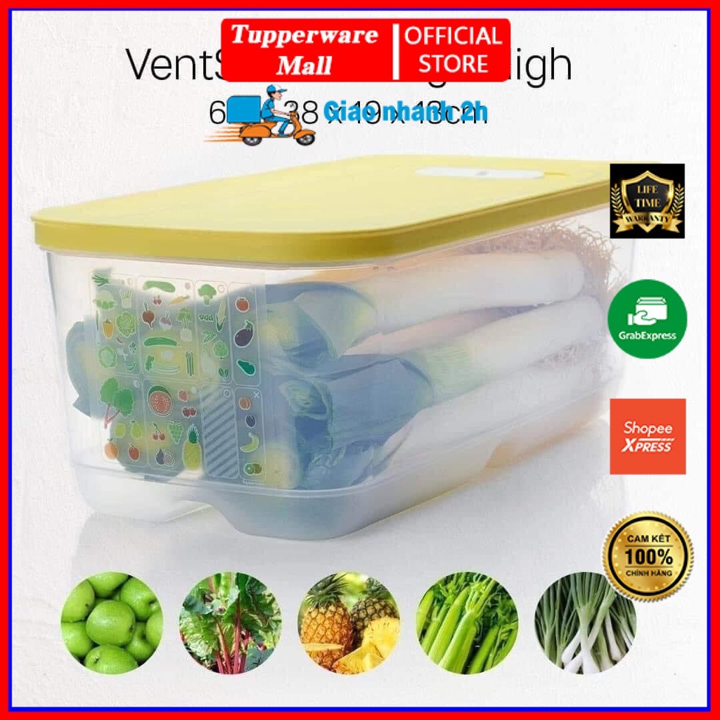 Hộp trữ mát có nút hô hấp VENTSMART 6.1L Tupperware