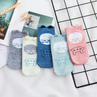 Combo 5 đôi tất thú xuất Hàn