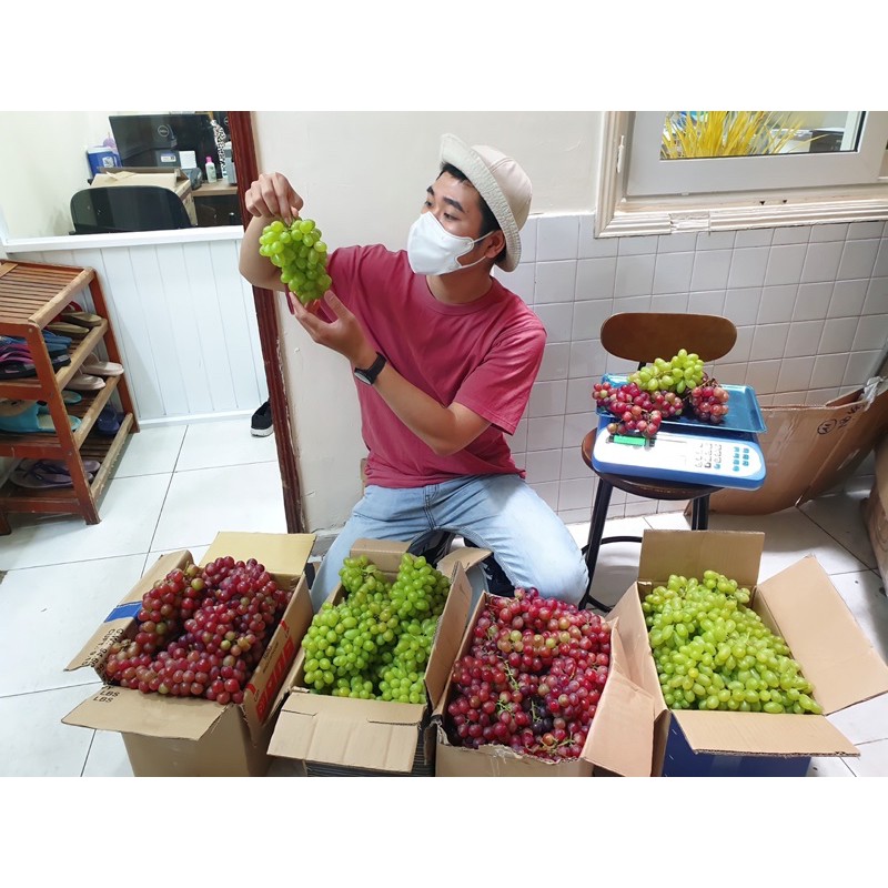 1 Kg NHO XANH PHAN RANG NINH THUẬN GIÒN NGỌT