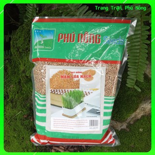 Hạt Giống Mầm Lúa Mạch Phú Nông - Bao 1kg