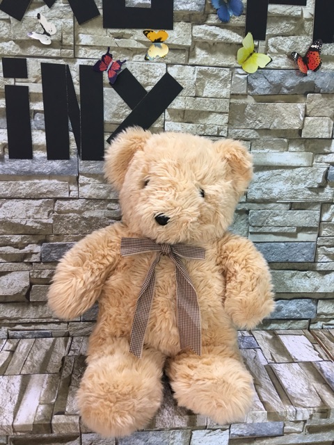 Gấu bông teddy các loại size 50-65cm tuỳ con