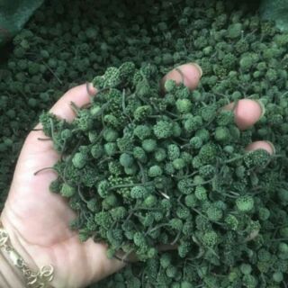0,5kg  Nụ tam thất non bao tử