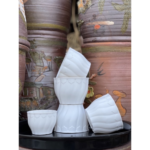 Chậu Soắn Cánh Sen
