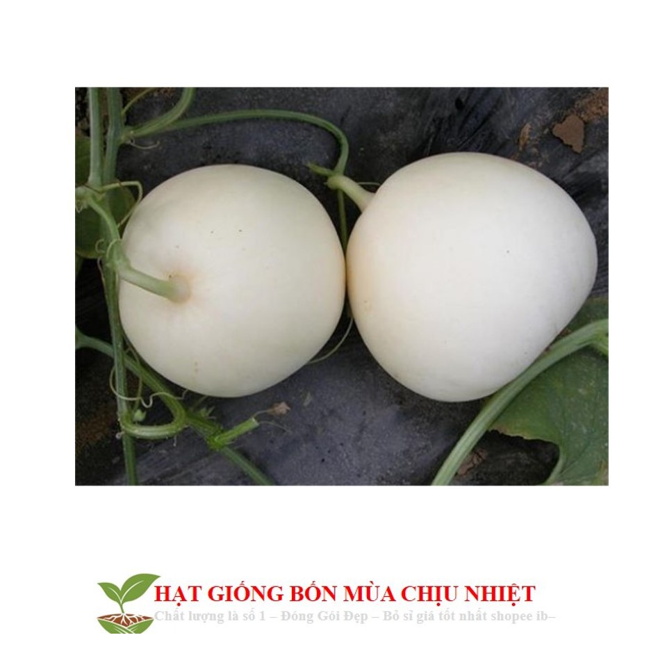 Hạt giống dưa lê siêu ngọt F1 gói 10 hạt xuất xứ Việt Nam