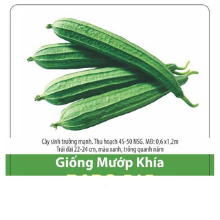 Hạt giống mướp khía sai trái, nhiều dinh dưỡng 10 hạt