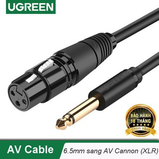 Cáp Âm Thanh 6.5mm sang Canon (XLR) Cao Cấp Ugreen 20717 20720 AV131 Chính Hãng