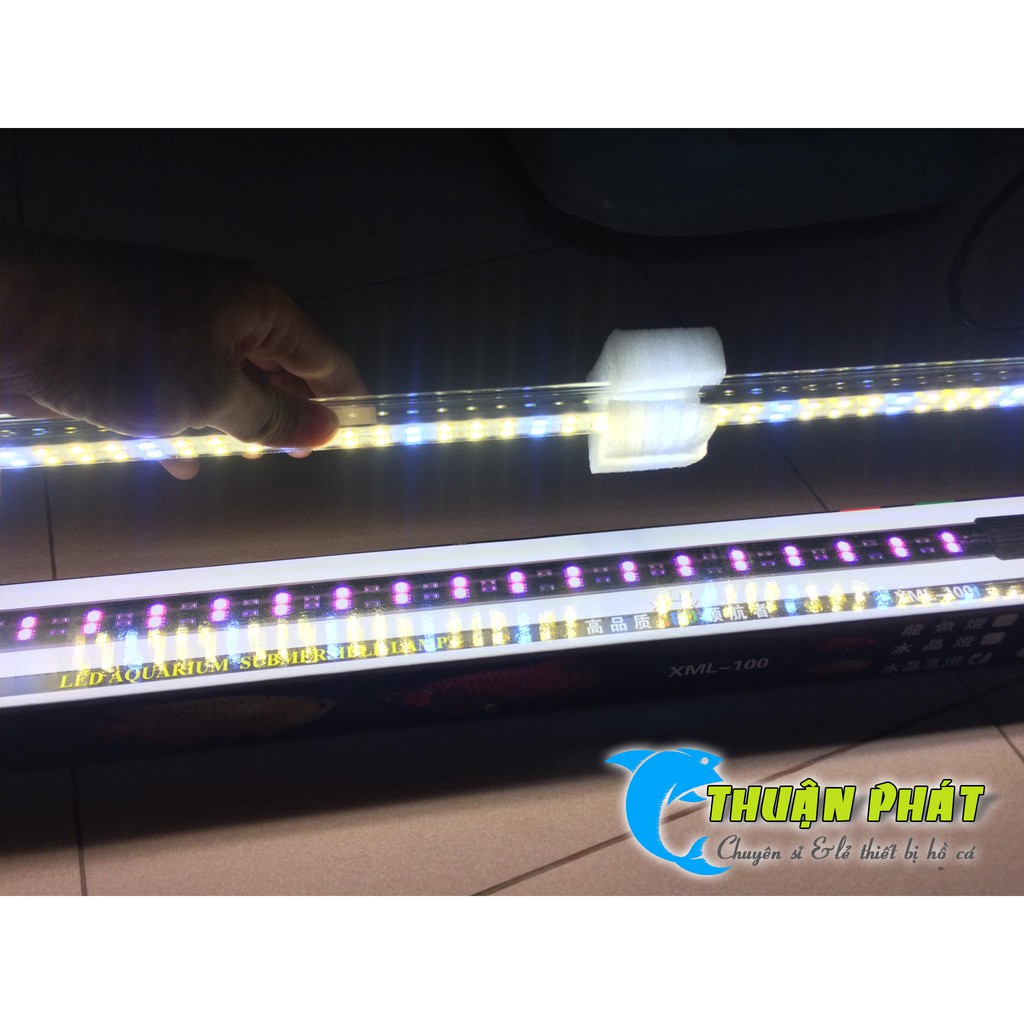Đèn Led Thủy Tinh XML 80 - 2 Hàng Huyết Long Siêu Đẹp