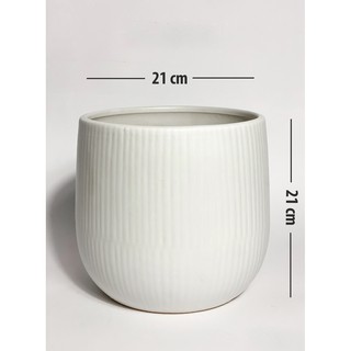 Chậu gốm trắng kẻ sọc