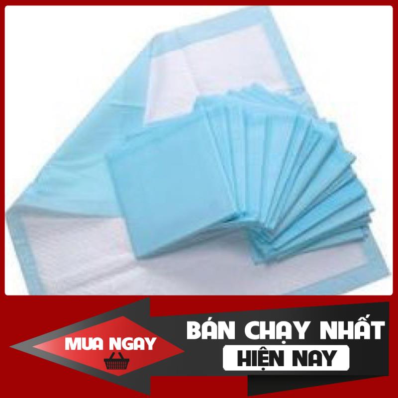 1 TẤM LÓT VỆ SINH CHUỒNG CAO CẤP CHO THÚ CƯNG