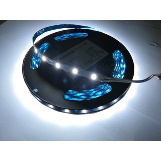 Led dây dán zic zac cuộn 10m