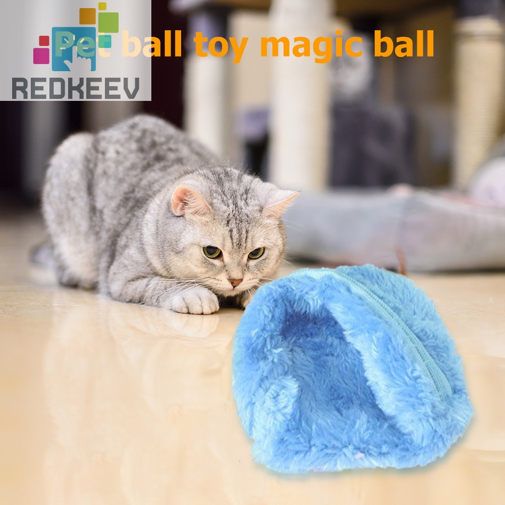 Set 5 quả bóng lăn tự động đồ chơi cho thú cưng