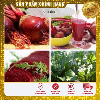 Hạt Giống Củ Dền Đỏ(2gr)