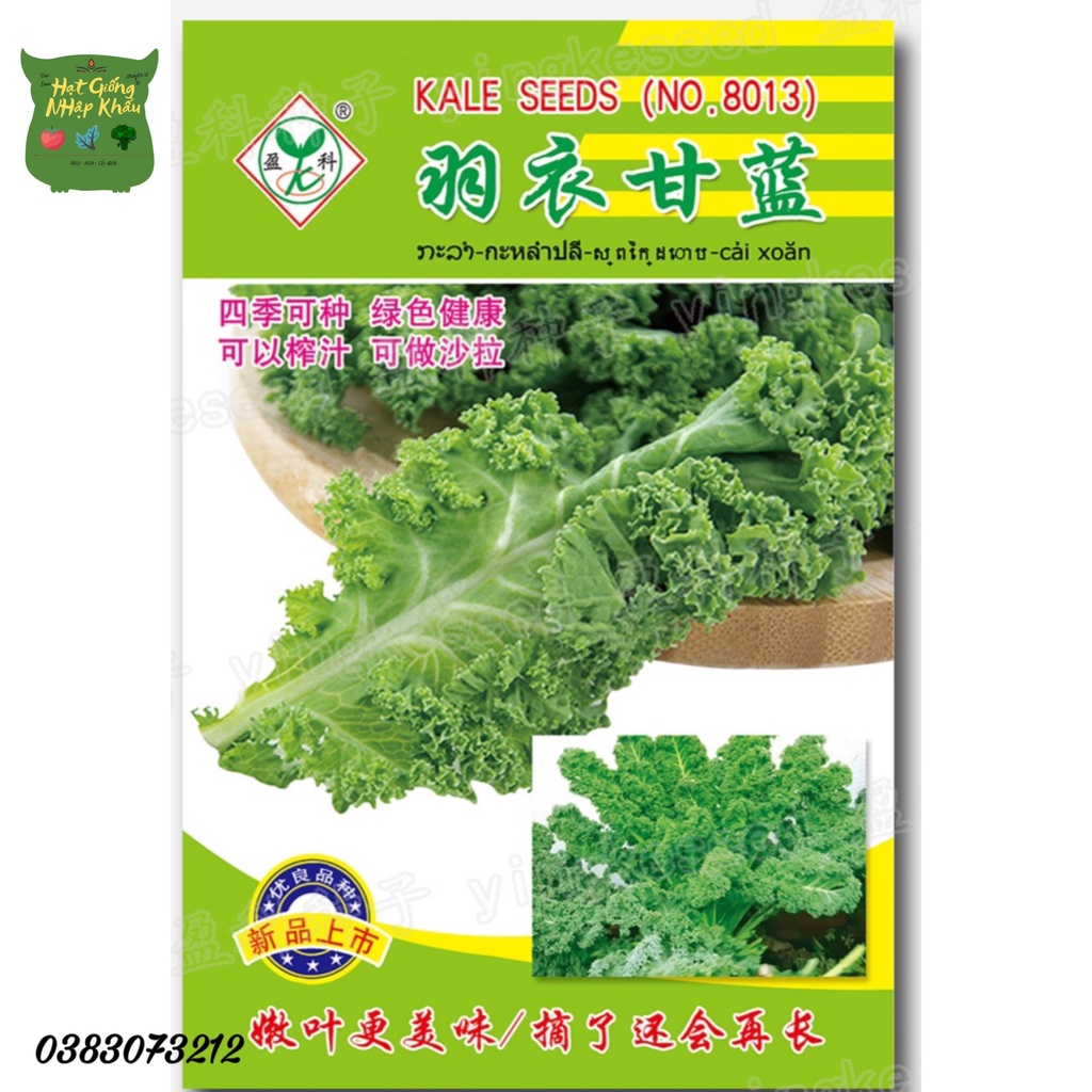 Hạt Giống CẢI XOĂN KALE