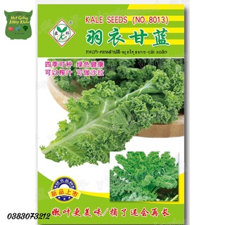 Hạt giống cải xoăn kale