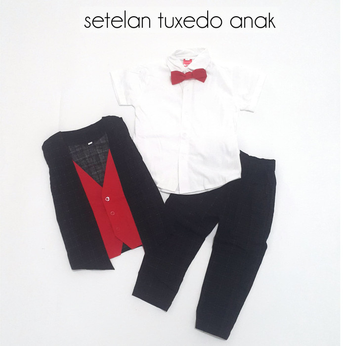 Áo Vest Tuxedo Size 2 Màu Đỏ / Xanh Cho Nam