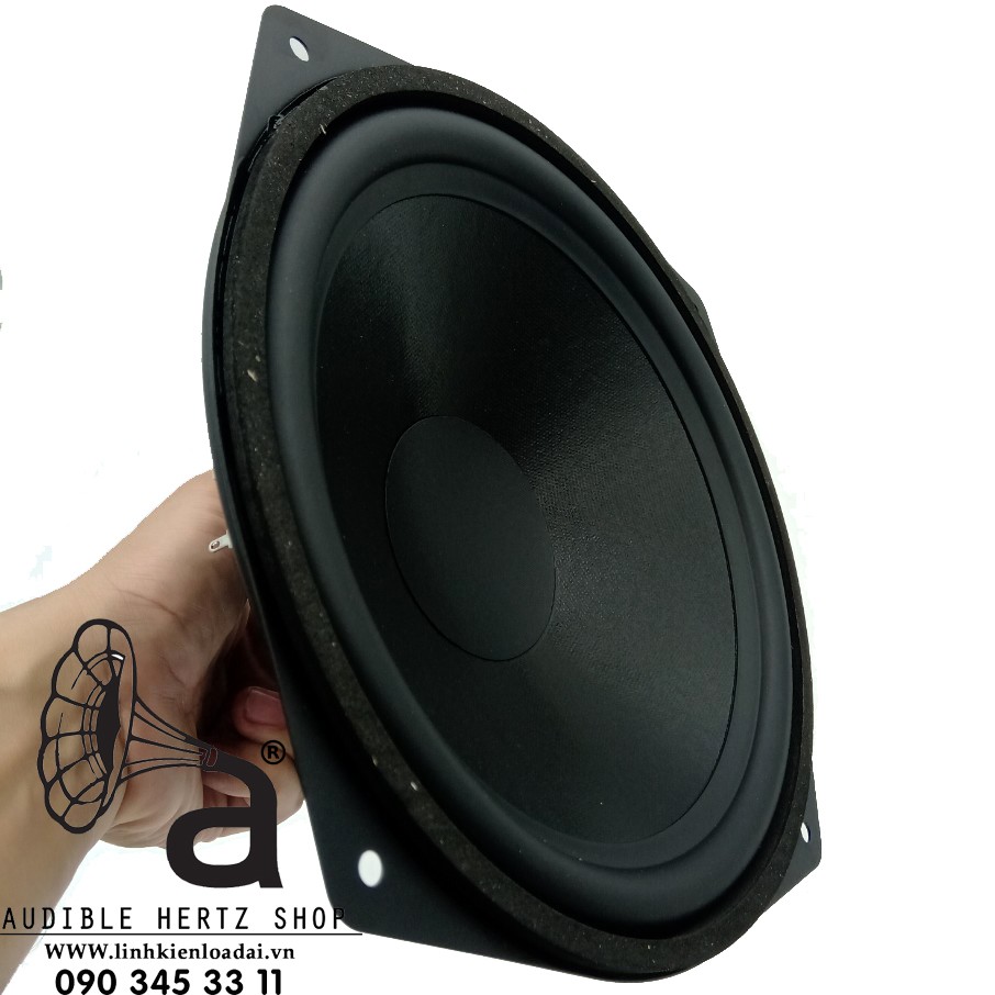 Củ loa bass rời 25cm Visaton WS 25 E, giá bán theo cặp