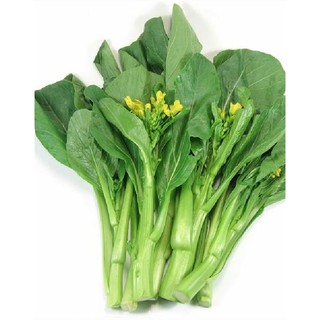 Combo 2  gói hạt giống cải ngòng
