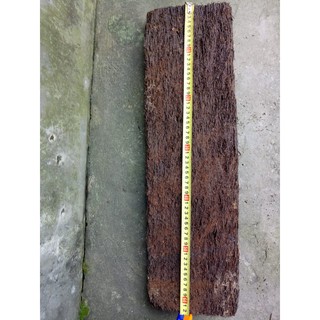 Bảng dớn DÀI trồng lan kích thước 62*19*3