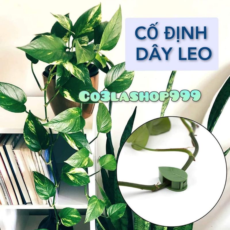 Nút nhựa chiếc lá cố định dây leo tường gạch men/ cửa kính (1 NÚT)