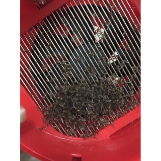 Đèn bắt muỗi hình thú -  máy bắt muỗi hình thú