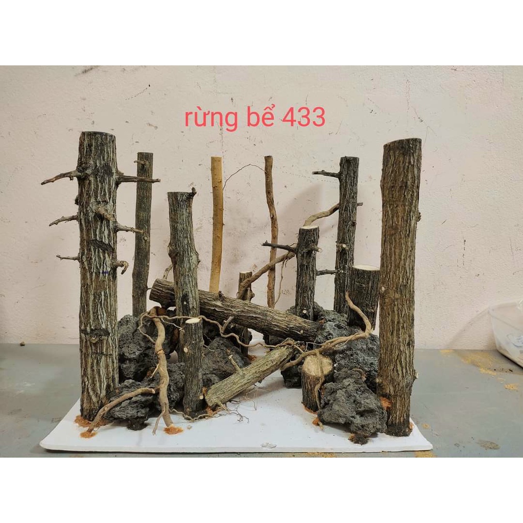 Đá Đen Gia Lai - 1kg Hàng Đẹp Siêu Vân, Nhẹ Xốp - Setup Bể Thuỷ Sinh, Trang Trí Bể Cá Cảnh | Đủ kích thước