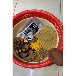 Mồi câu cá Lk Hòa