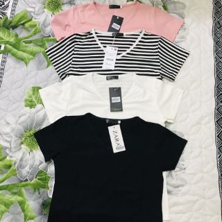👚👚👚Áo thun cổ tim nhiều màu 100% cotton ( Video thật)