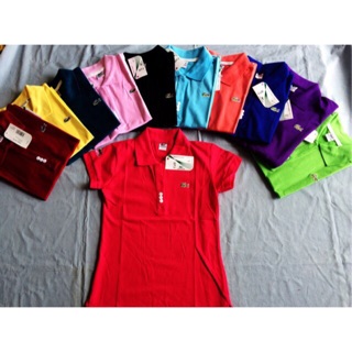 Áo thun cá sấu nữ