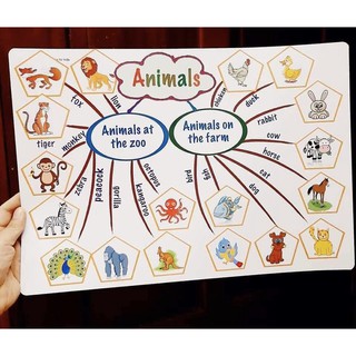 SƠ ĐỒ TƯ DUY MINDMAP CHO BÉ HỌC TIẾNG ANH