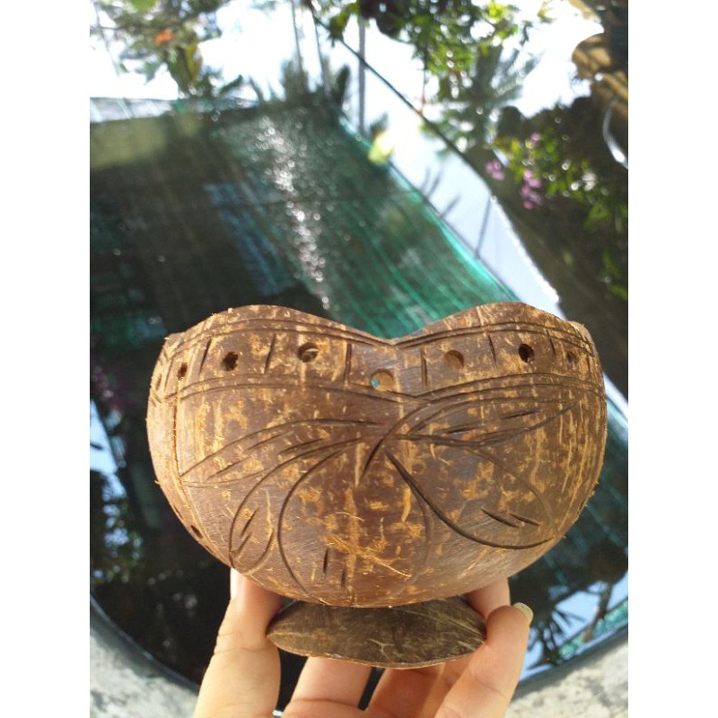 Chậu trồng cây được làm từ gáo dừa 100% thiên nhiên