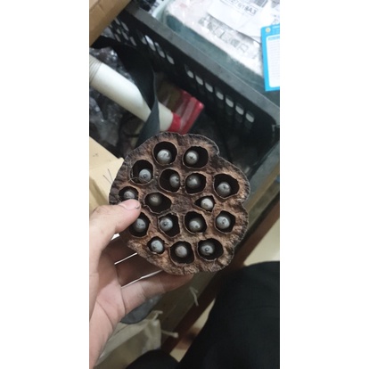 Đài sen khô có hạt trang trí nhà cửa có cành