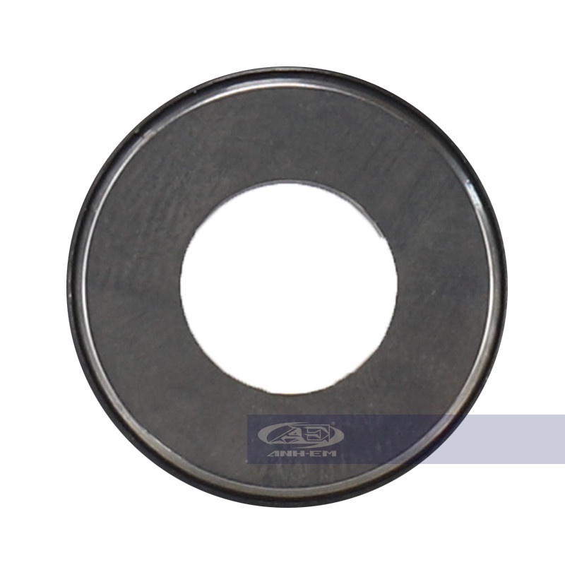 Bạc đạn chà nồi RGV  RGV120-0028
