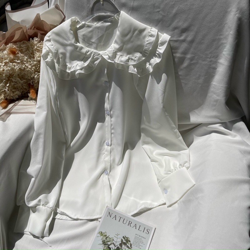 Áo sơ mi tiểu thử cổ bèo 🪵🪵ut