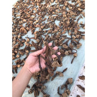 500g nấm ngọc cẩu khô