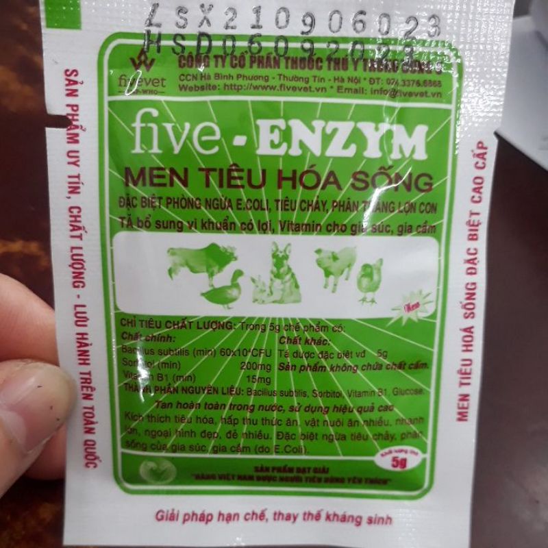 Combo 5 gói five enzym-  men tiêu hóa sống cao cấp cho chó mèo