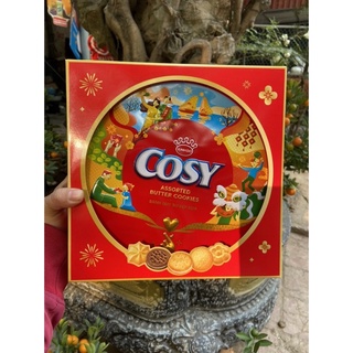 Bánh quy cosy kinh độ 378g hộp thiếc có quai sách