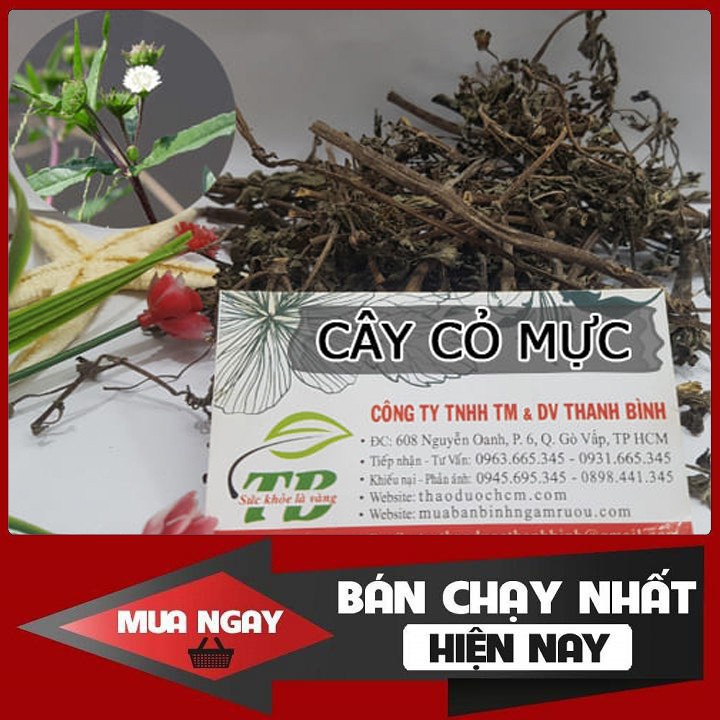 Cây Cỏ Mực (Cây Nhọ Nồi) 100g - Hàng Chất Lượng Loại 1
