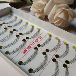 10 cặp mi  dưới Taiwan