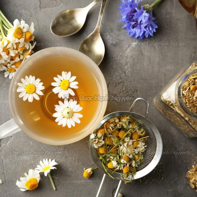 Hoa cúc chi 100g (Cúc vàng nụ bé, cúc vàng sấy lạnh, hoa cúc vàng) - Thảo Dược Hạnh Nguyên